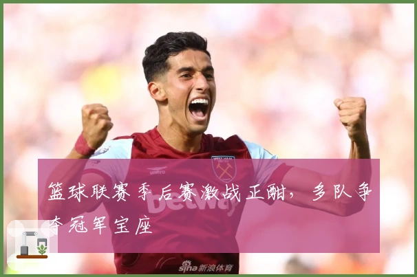 篮球联赛季后赛激战正酣,多队争夺冠军宝座