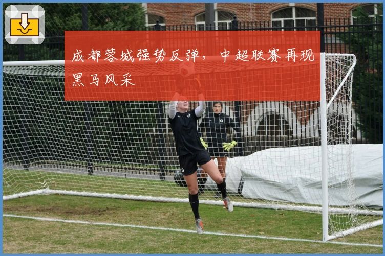 成都蓉城强势反弹，中超联赛再现黑马风采