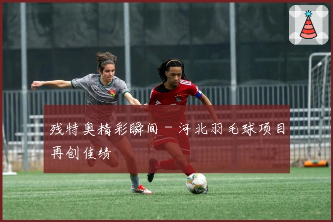 残特奥精彩瞬间 - 河北羽毛球项目再创佳绩