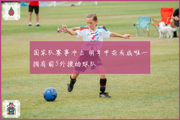 国家队赛事冲击 明年申花或成唯一拥有前5外援的球队