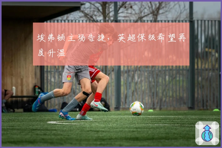 埃弗顿主场告捷，英超保级希望再度升温